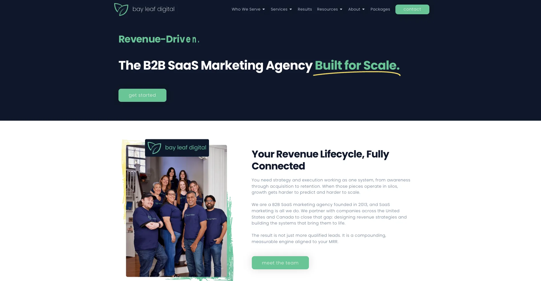 Bay Leaf Digital homepage hero showing the tagline The B2B SaaS Marketing Agency Built for Scale, with a team photo